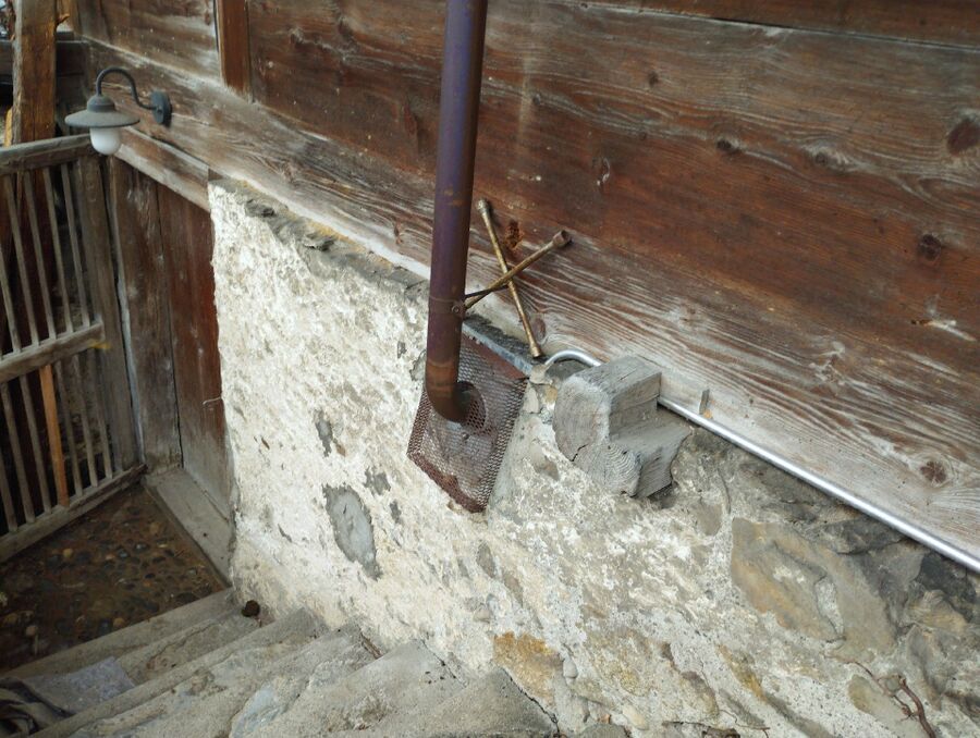 Relocate bees & remove bee nest