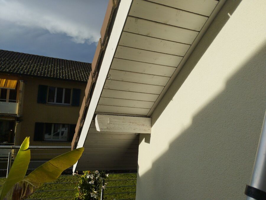 Relocate bees & remove bee nest