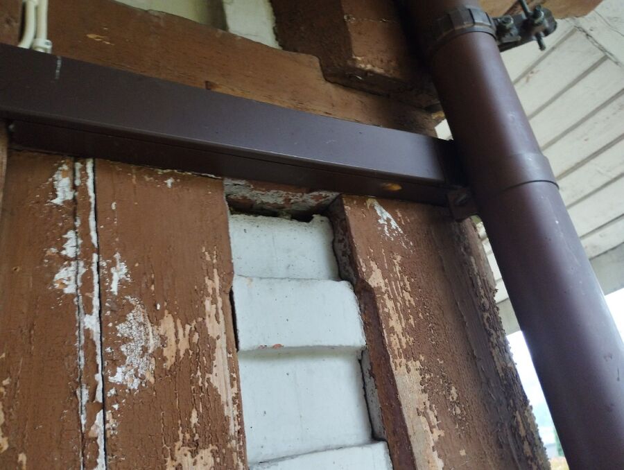 Relocate bees & remove bee nest