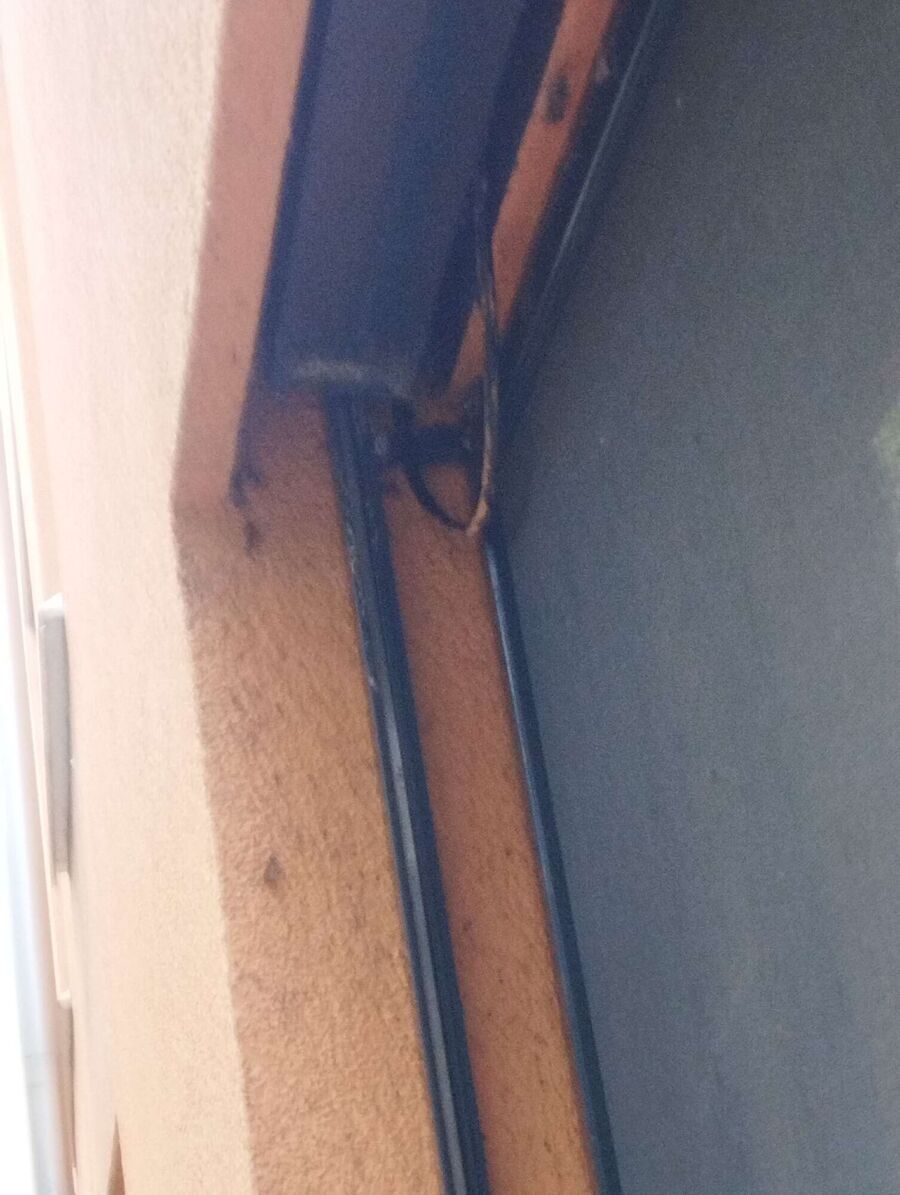 Bee nest at the house remove