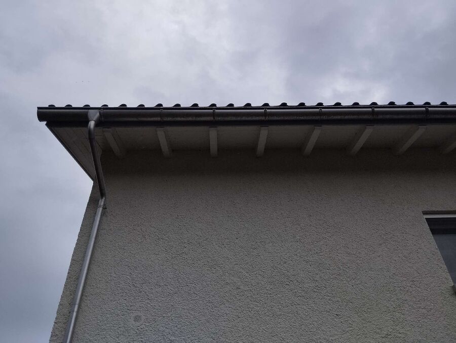 Bee nest at the house remove