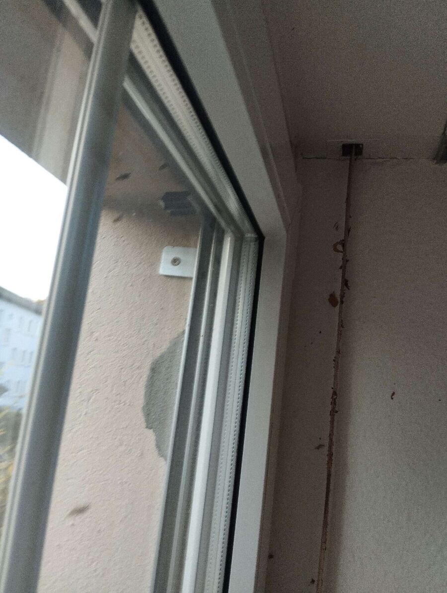 Relocate bees & remove bee nest