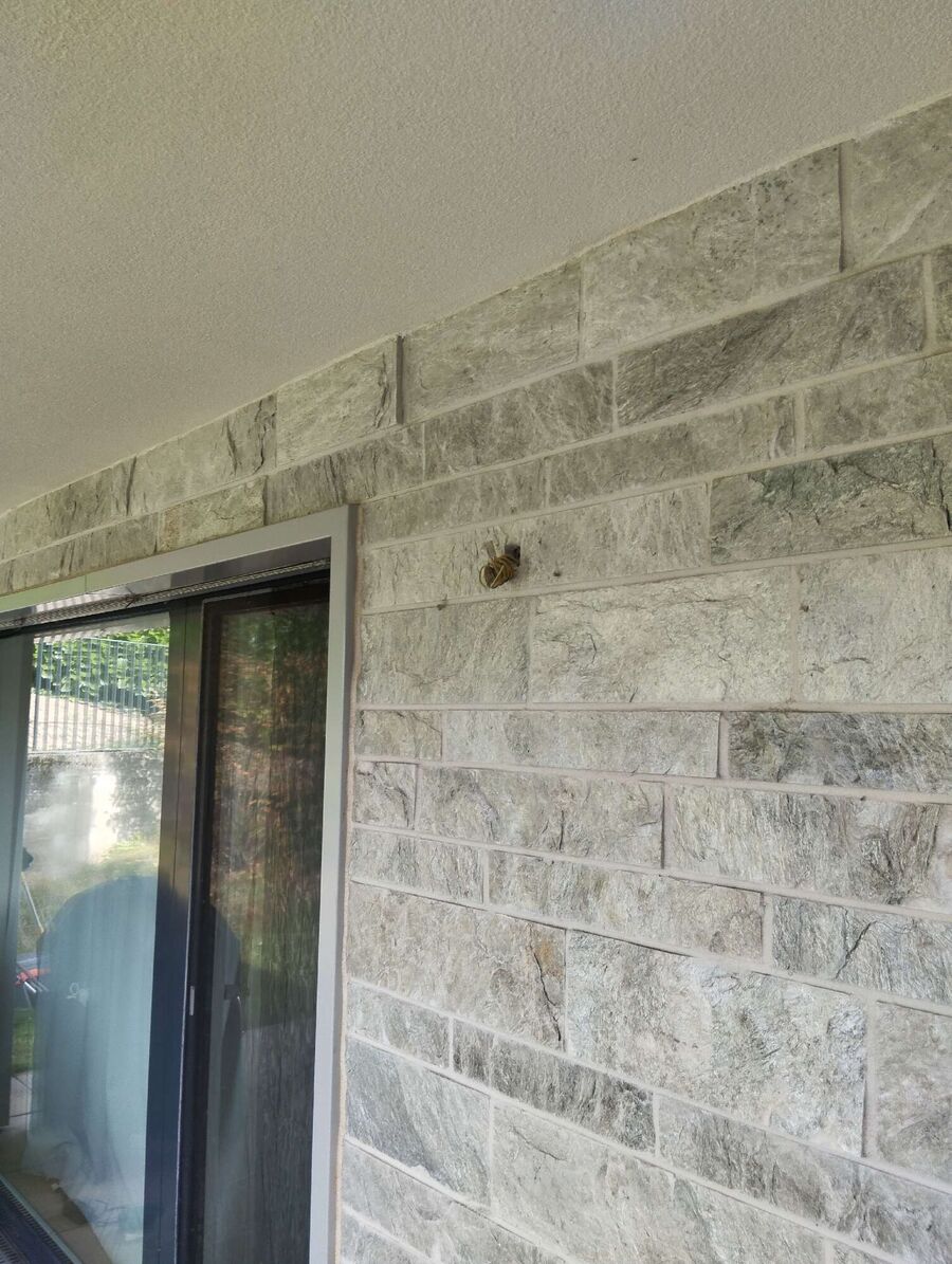 Bee nest at the house remove