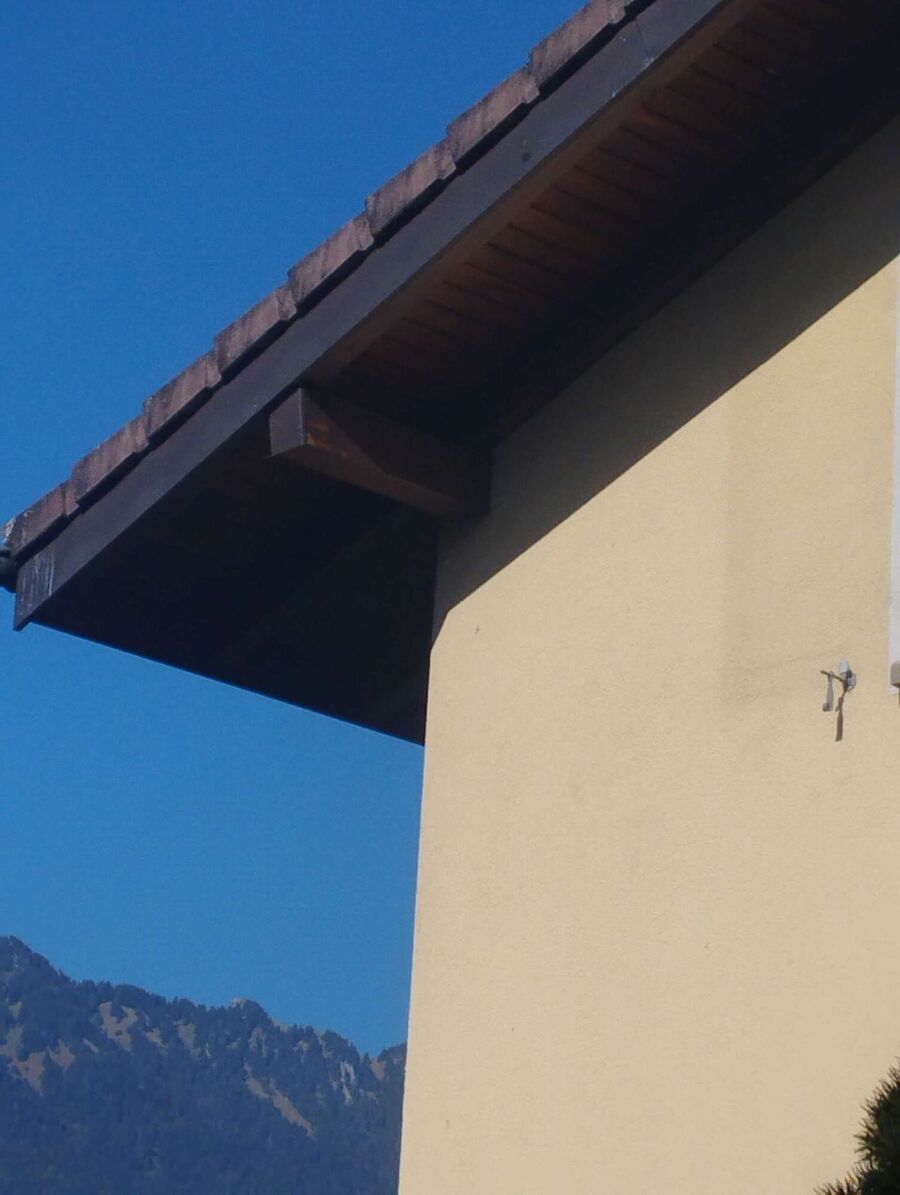 Bee nest at the house remove