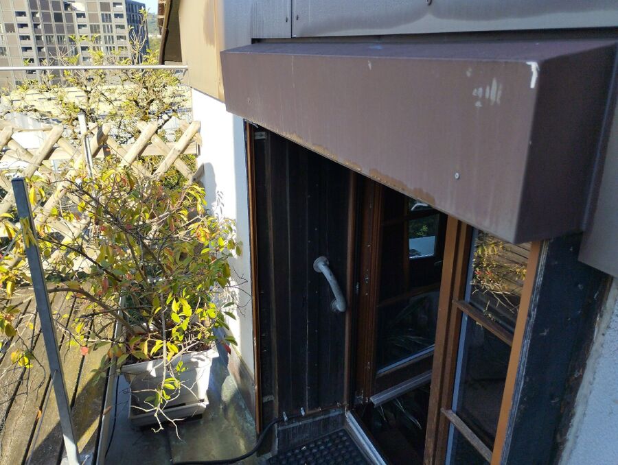 Relocate bees & remove bee nest