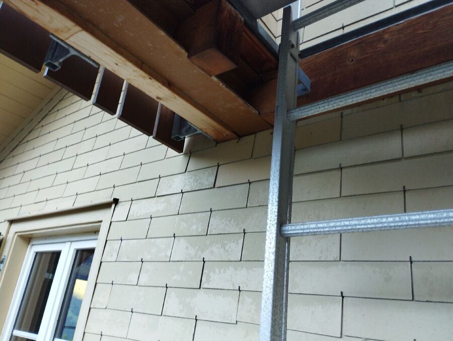 Relocate bees & remove bee nest