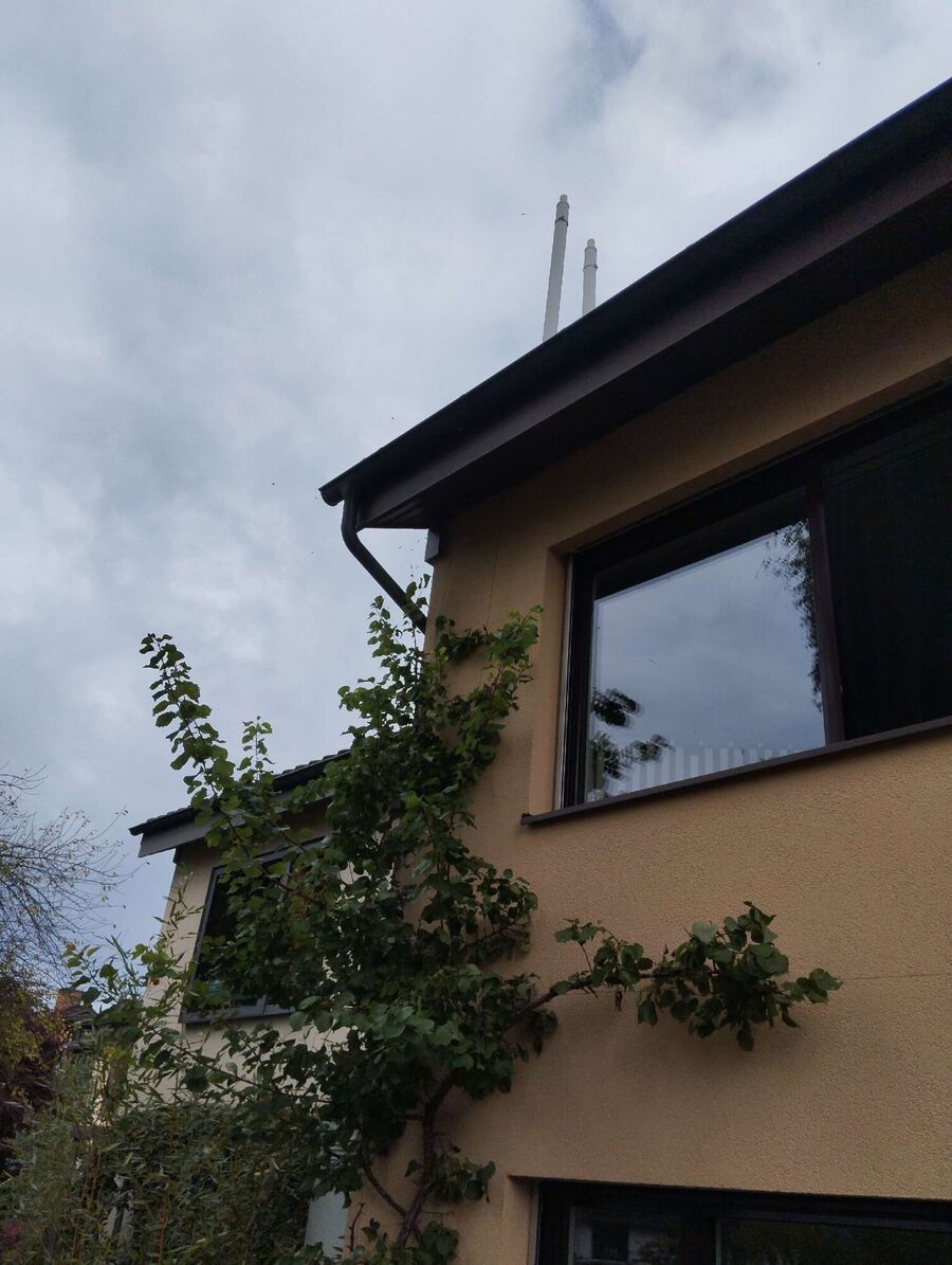 Bee nest at the house remove