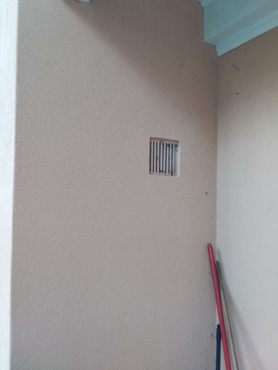 Relocate bees & remove bee nest