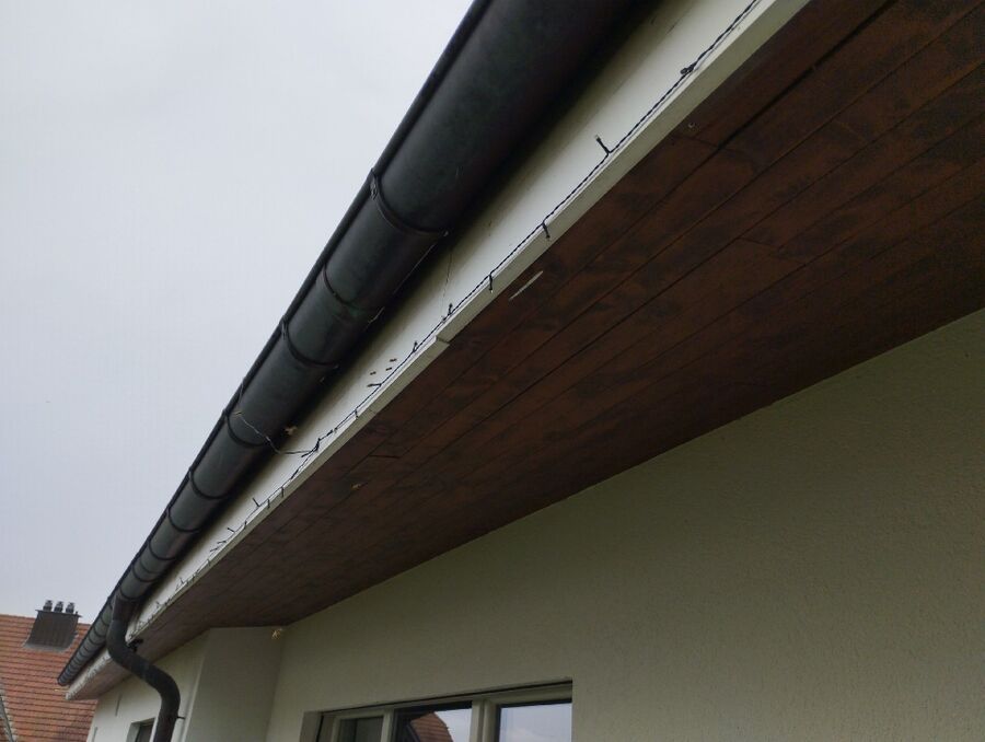 Bee nest at the house remove