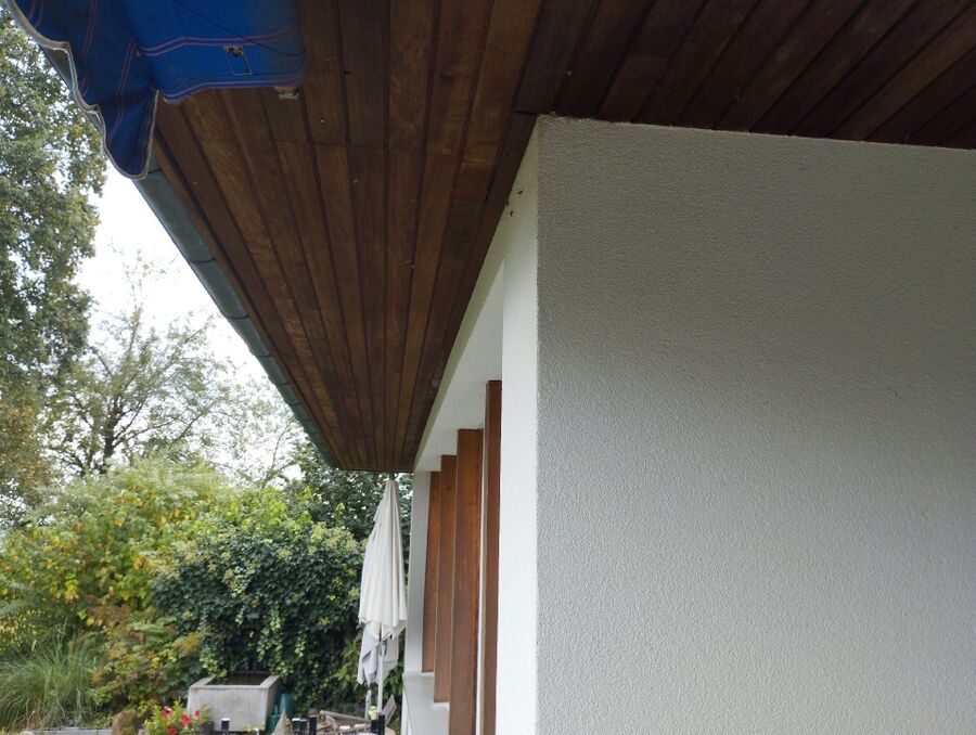 Relocate bees & remove bee nest