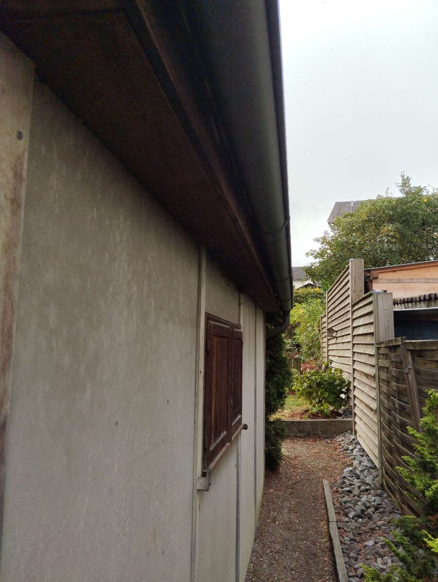 Bee nest at the house remove