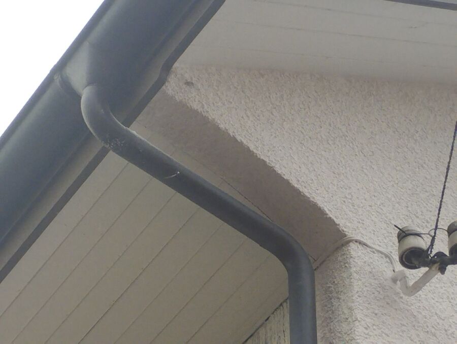 Bee nest at the house remove