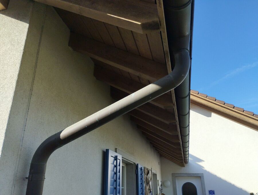 Relocate bees & remove bee nest