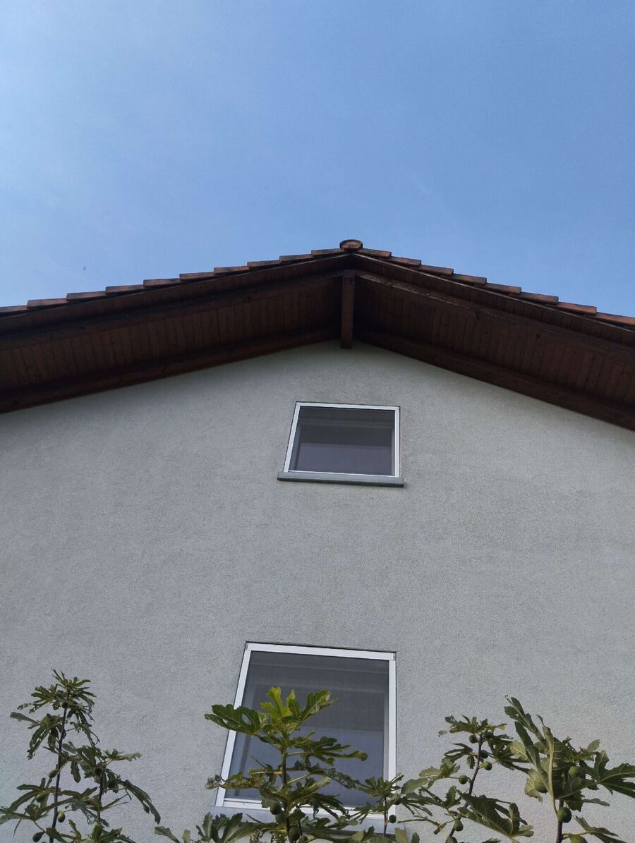 Bee nest at the house remove