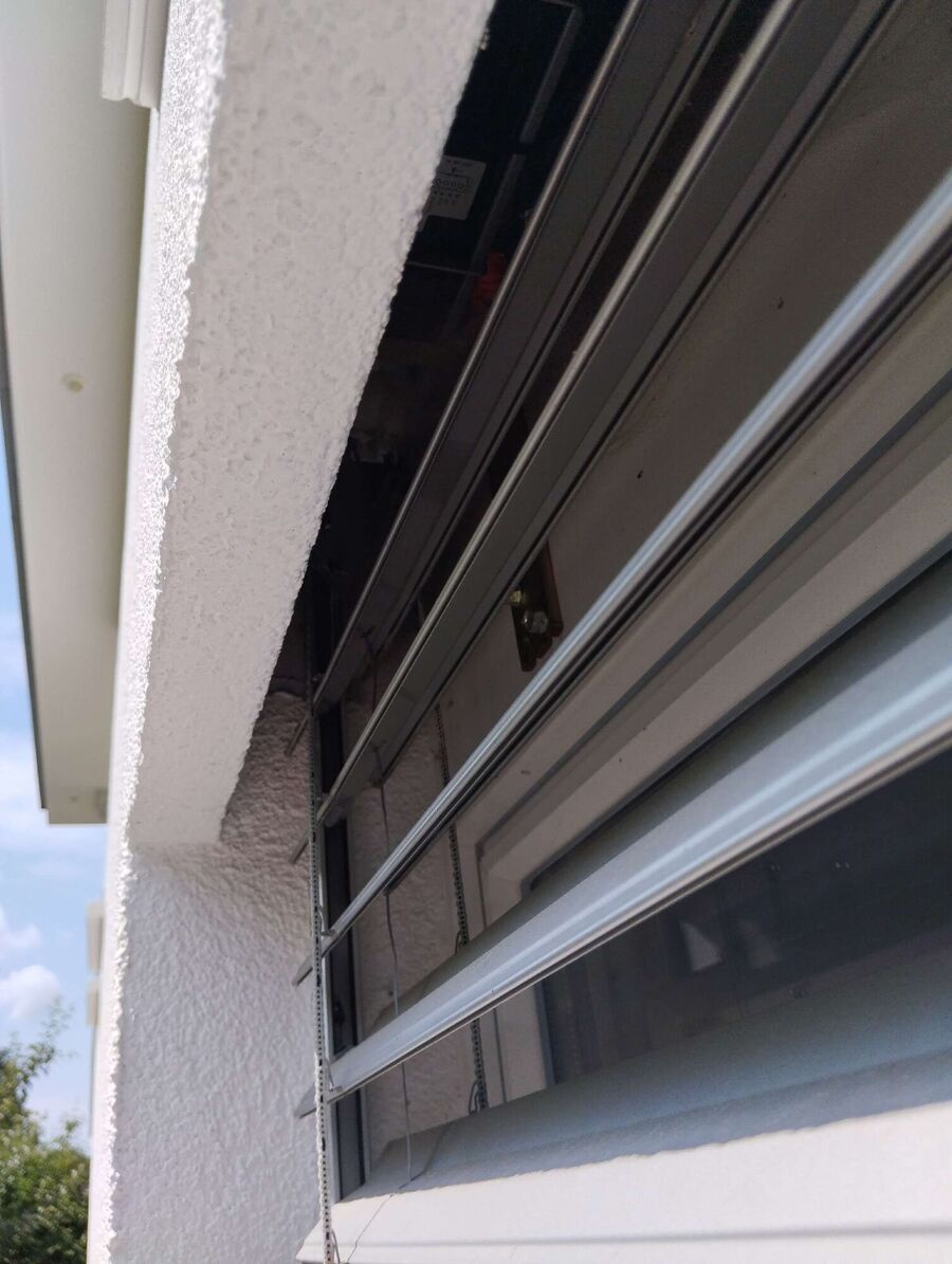 Relocate bees & remove bee nest