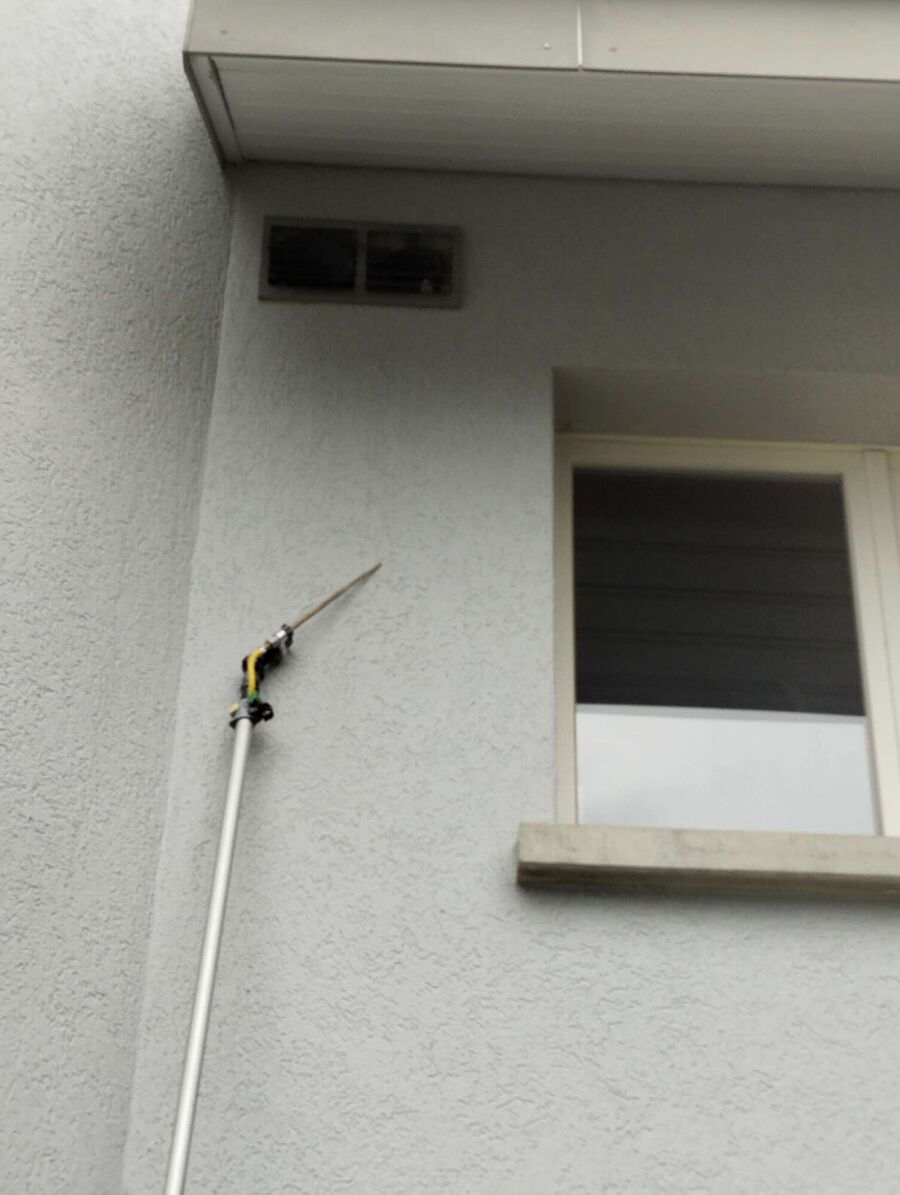 Relocate bees & remove bee nest