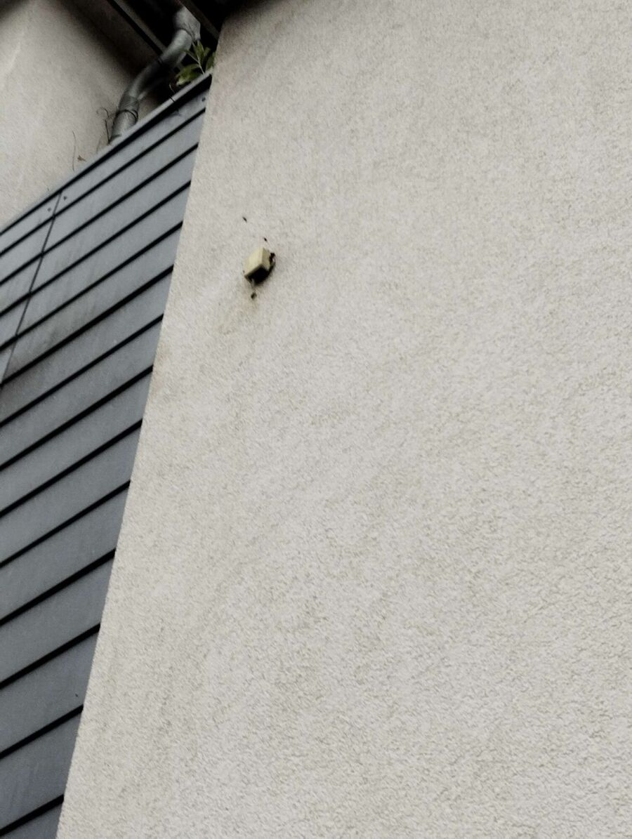 Bee nest at the house remove