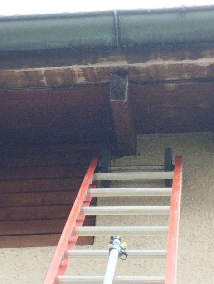 Bee nest at the house remove