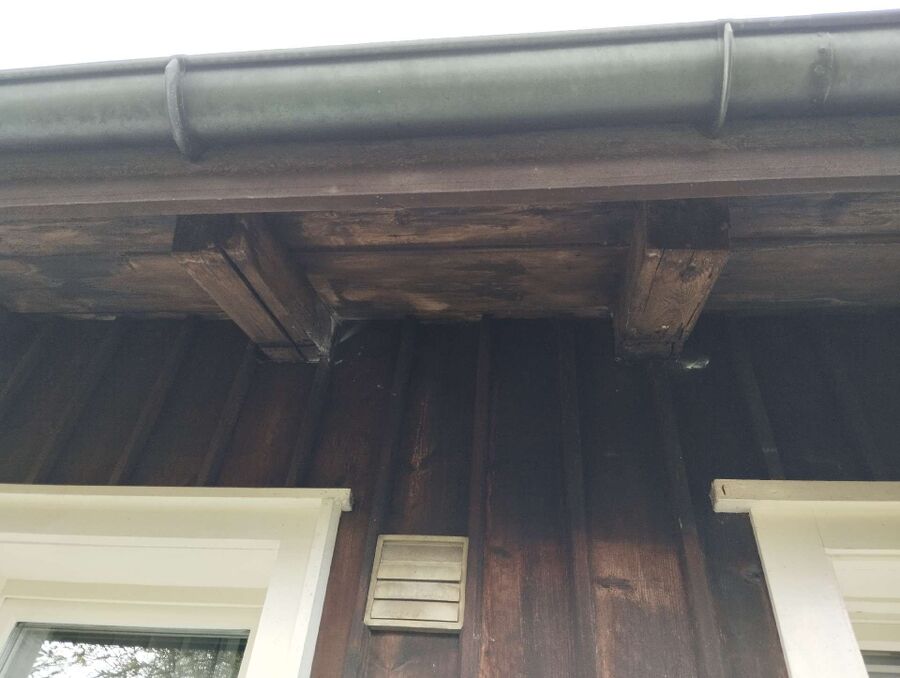 Relocate bees & remove bee nest