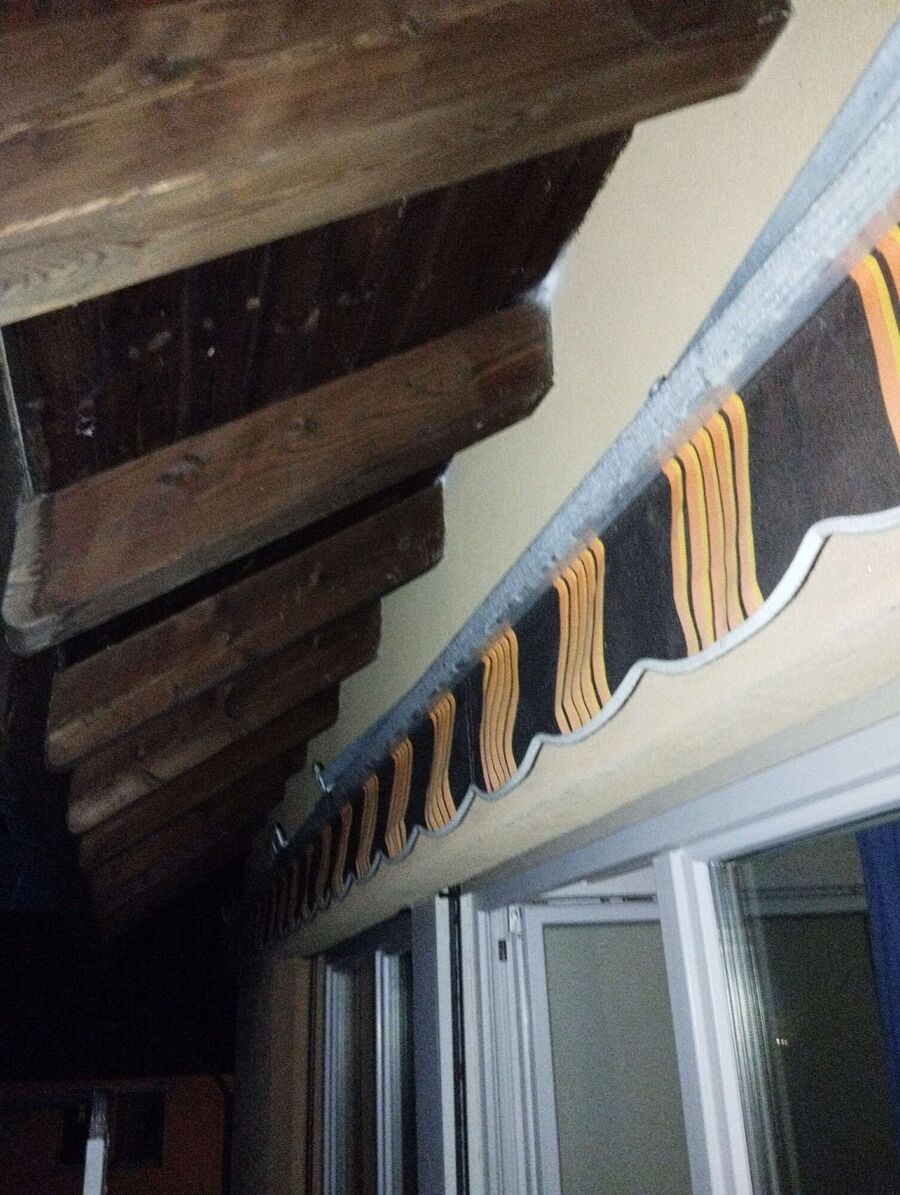 Relocate bees & remove bee nest