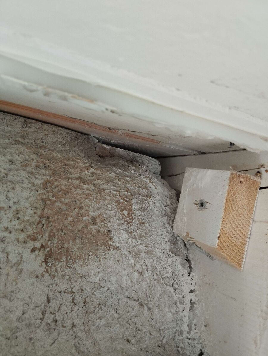 Relocate bees & remove bee nest