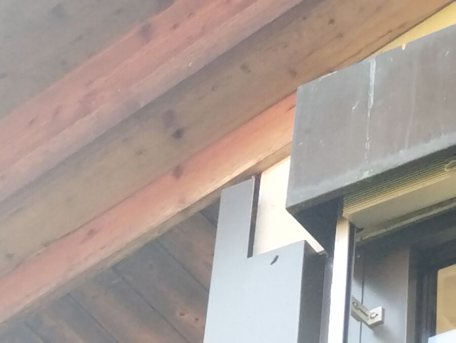 Bee nest at the house remove