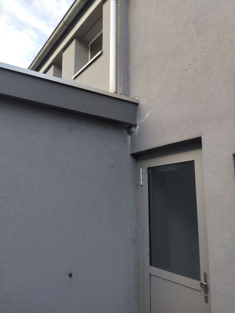 Bee nest at the house remove