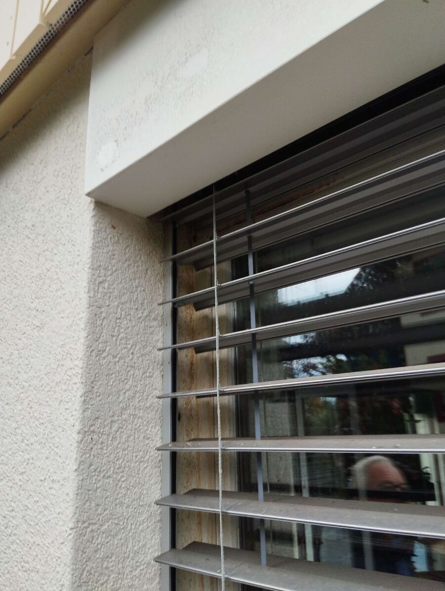 Bee nest at the house remove