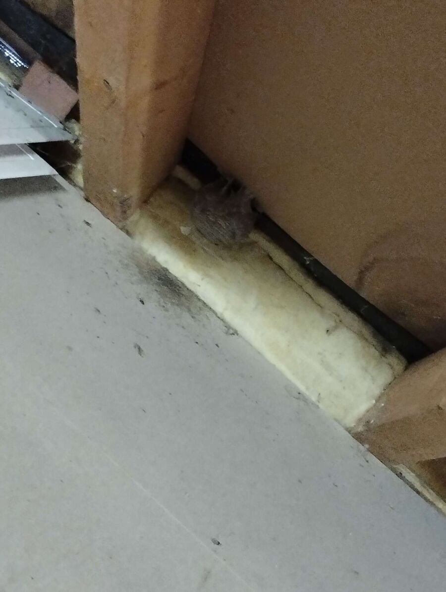 Bee nest at the house remove