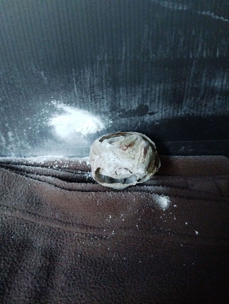 Bee nest at the house remove