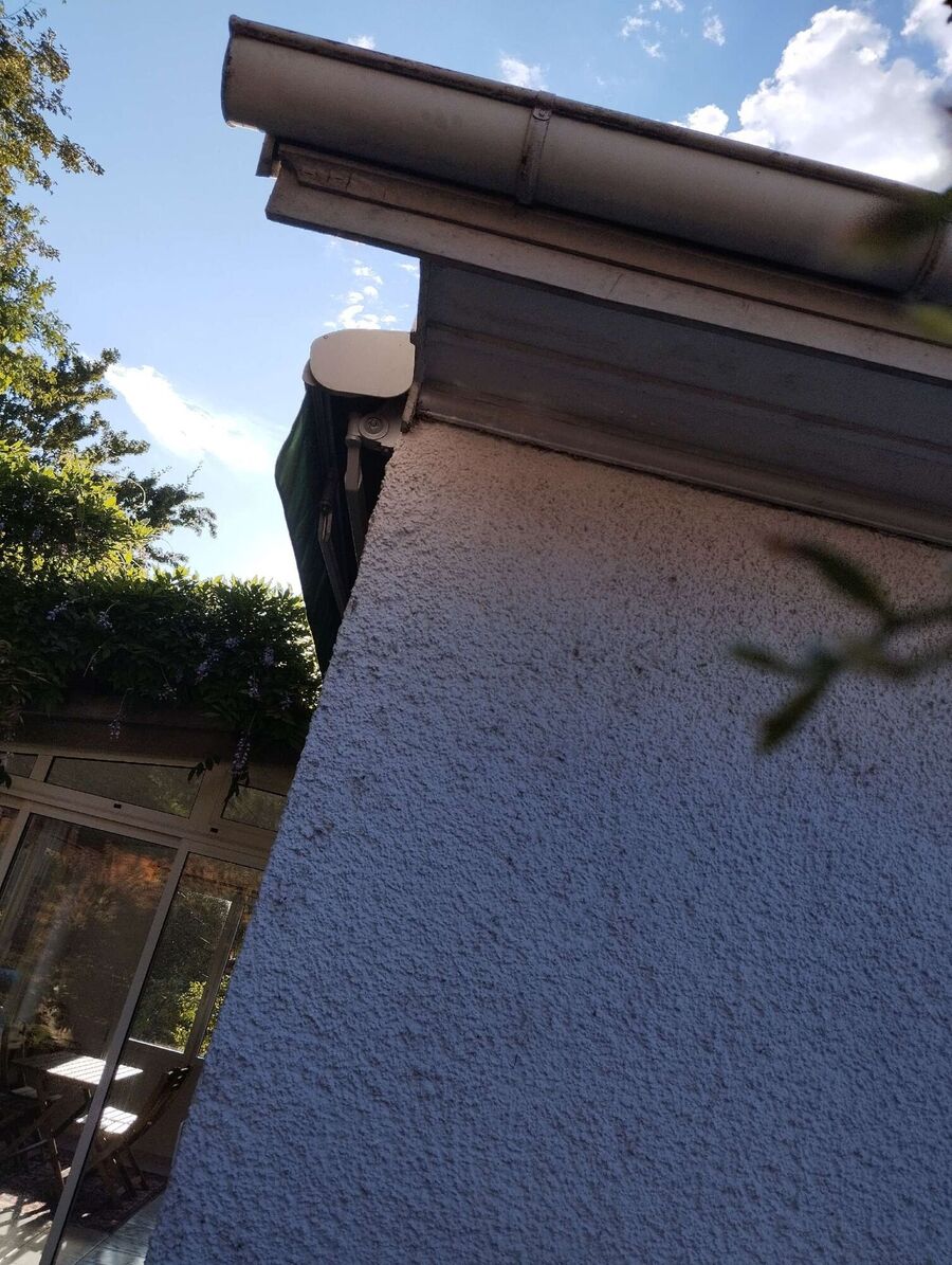 Bee nest at the house remove