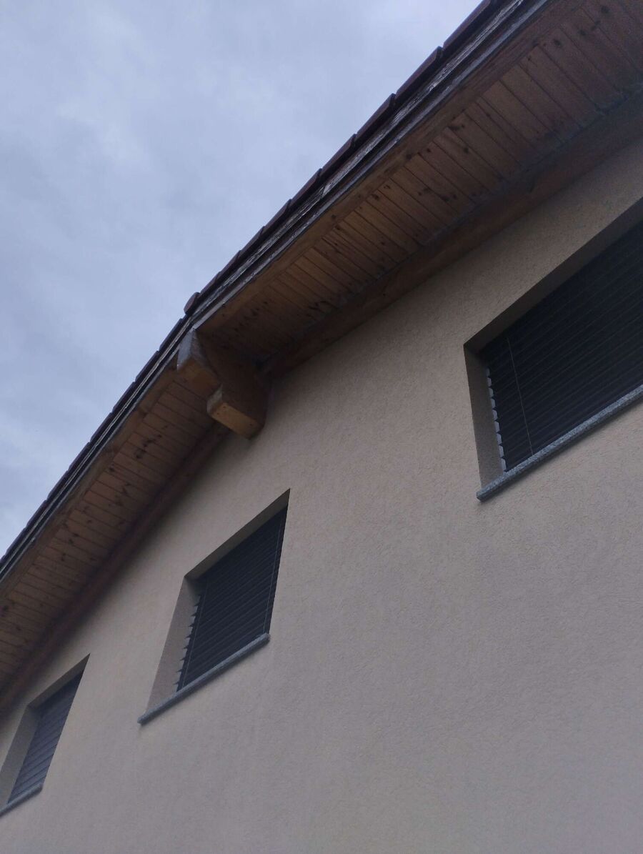 Relocate bees & remove bee nest