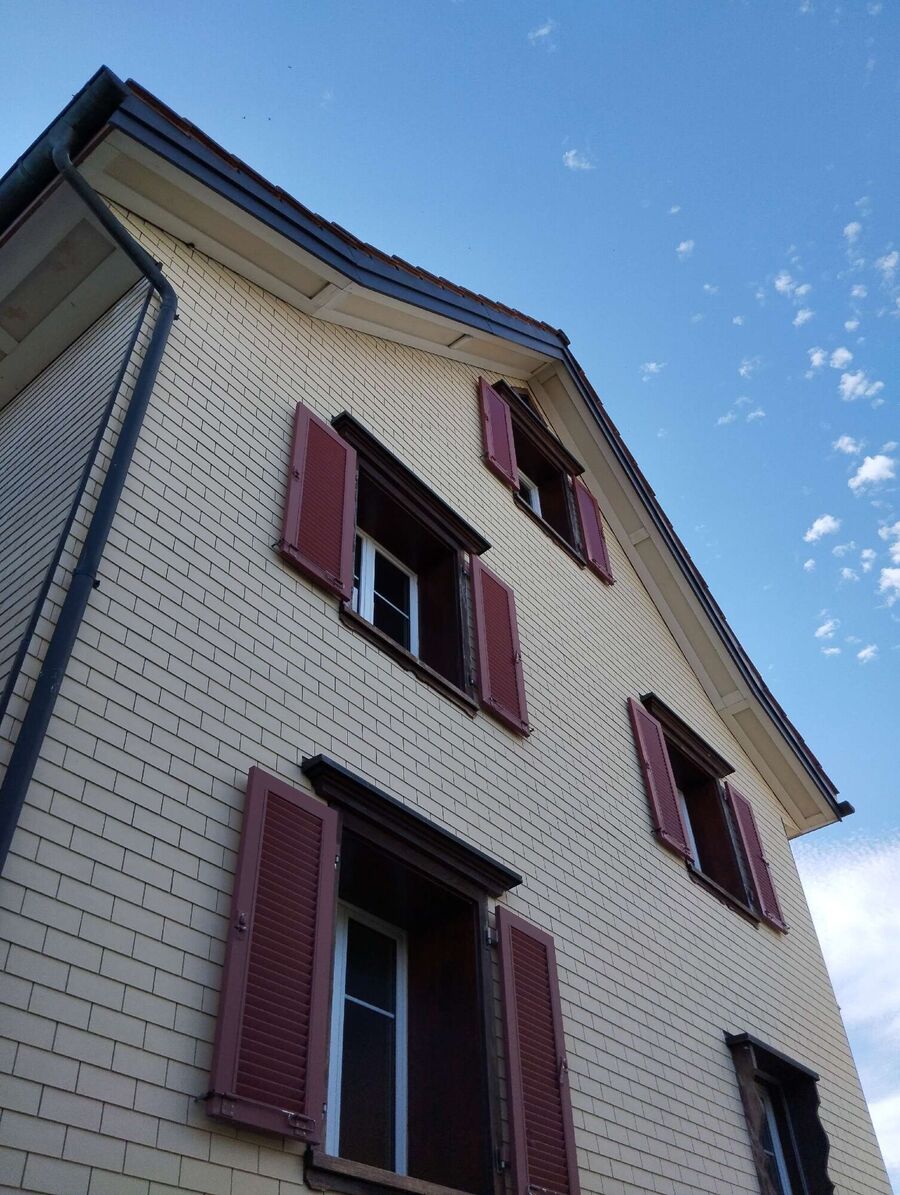 Relocate bees & remove bee nest