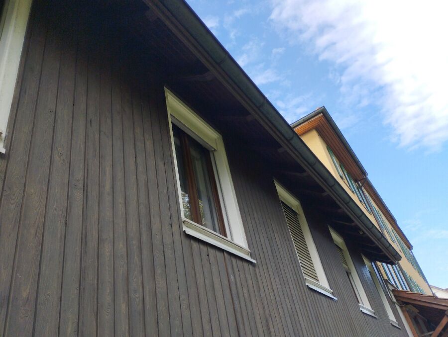 Relocate bees & remove bee nest