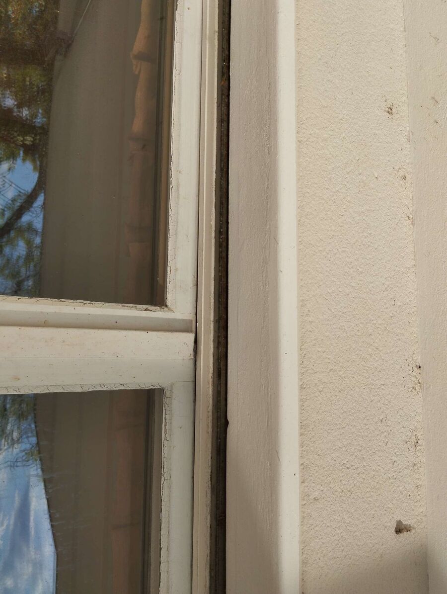 Bee nest at the house remove