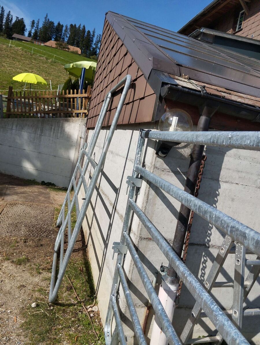 Bee nest at the house remove