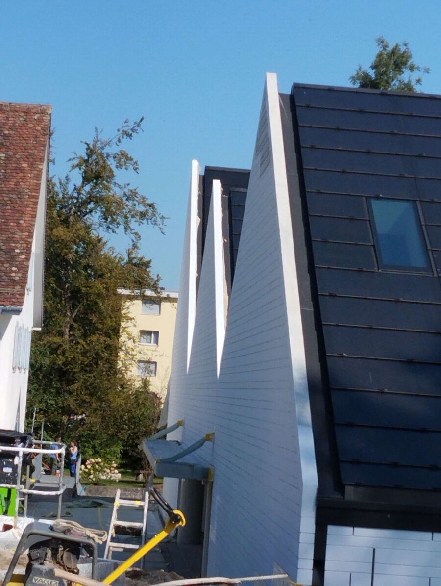 Relocate bees & remove bee nest