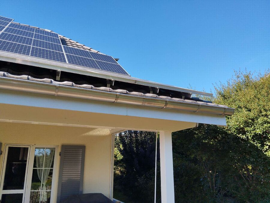 Bee nest at the house remove