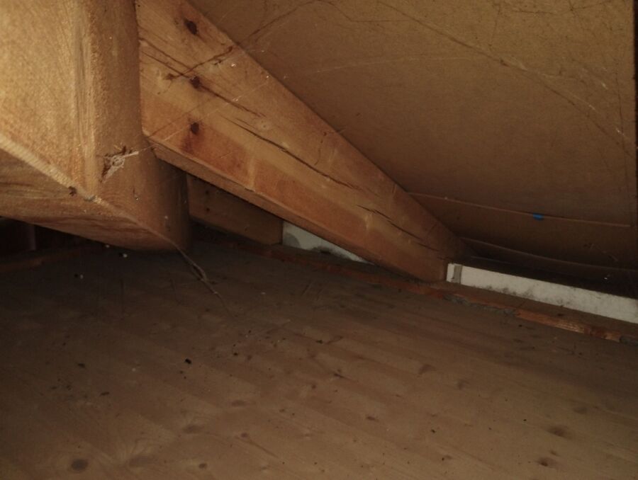 Bee nest at the house remove