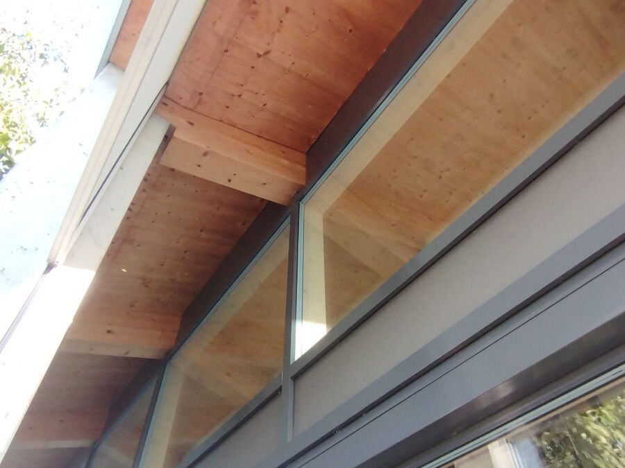 Bee nest at the house remove