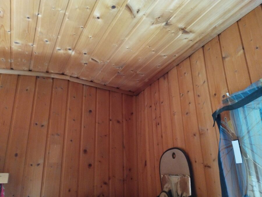 Bee nest at the house remove