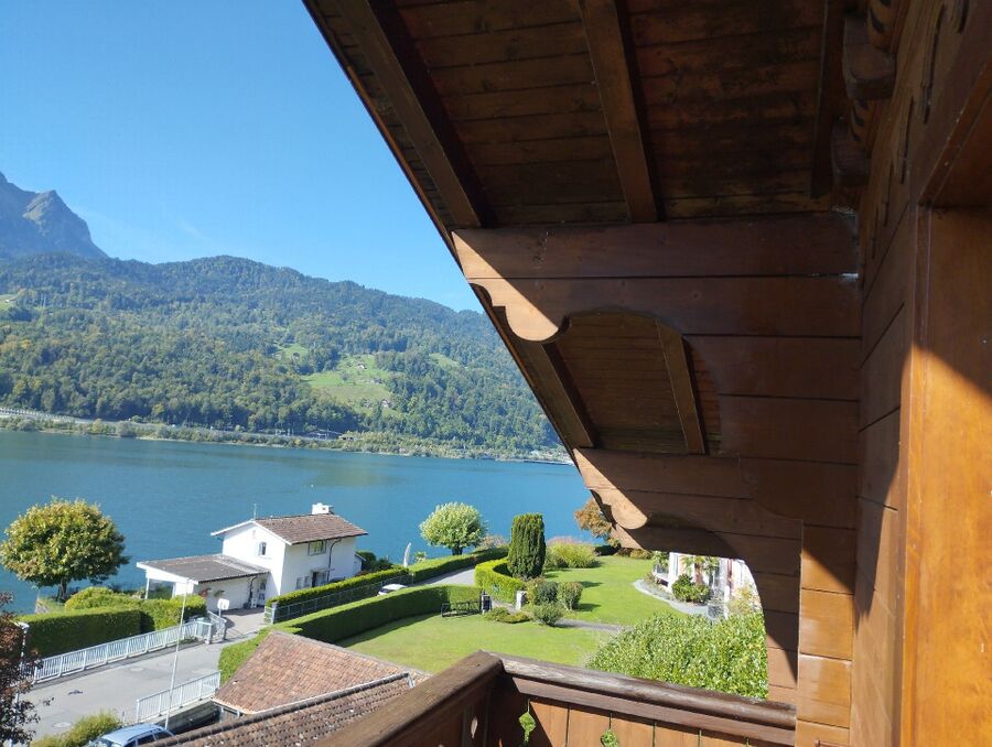 Bee nest at the house remove