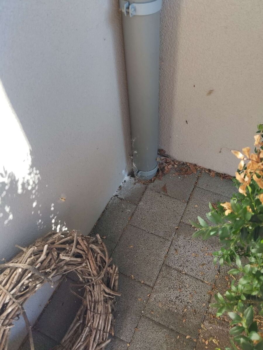 Bee nest at the house remove