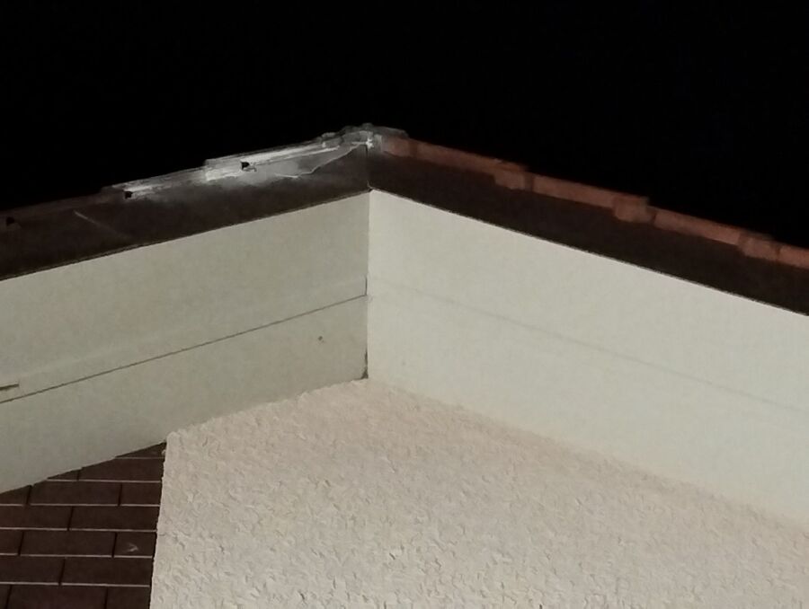 Relocate bees & remove bee nest