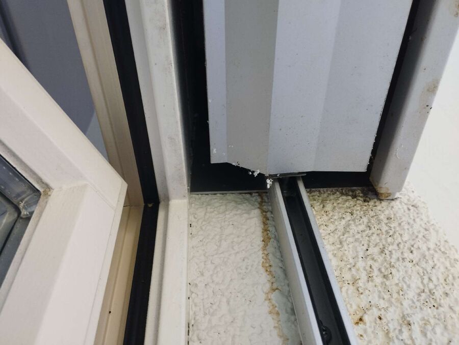 Relocate bees & remove bee nest