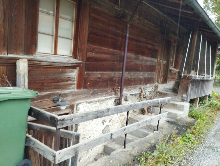 Bee nest at the house remove