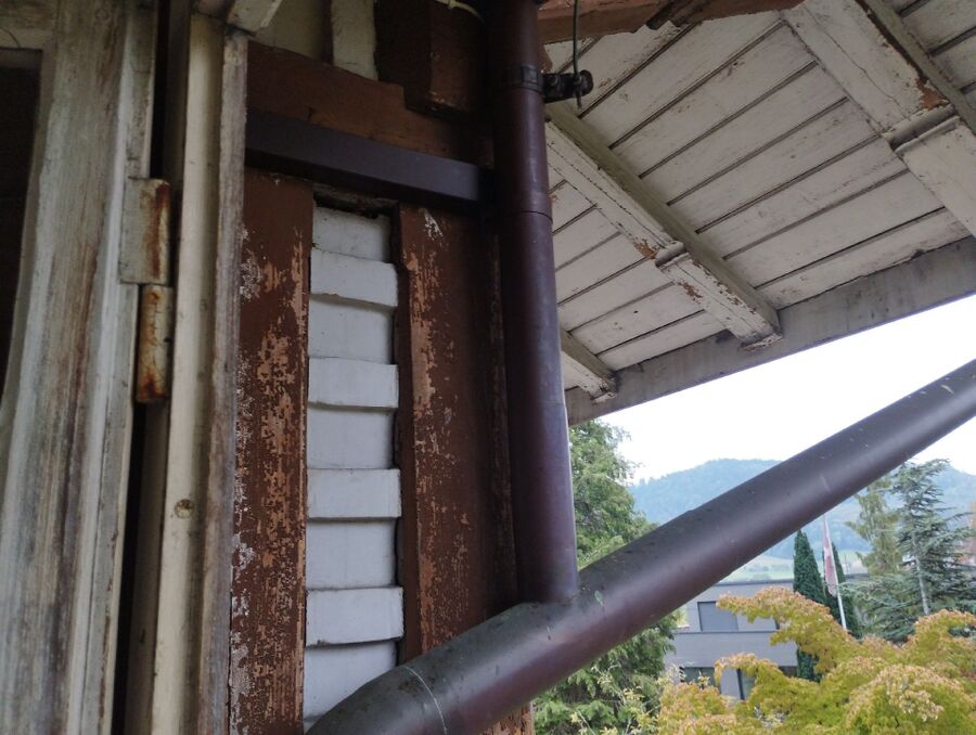 Bee nest at the house remove