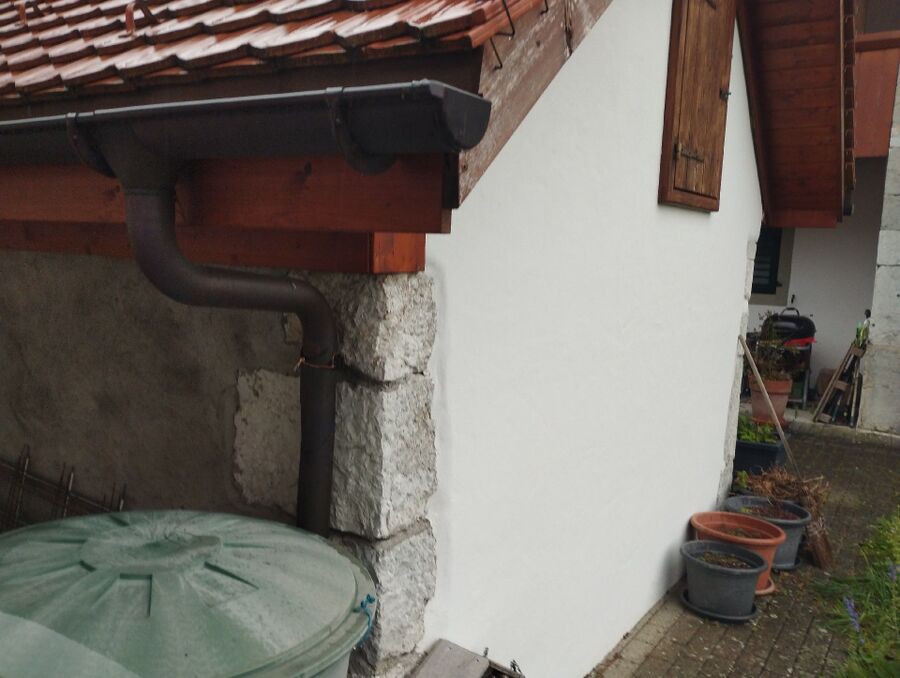 Bee nest at the house remove