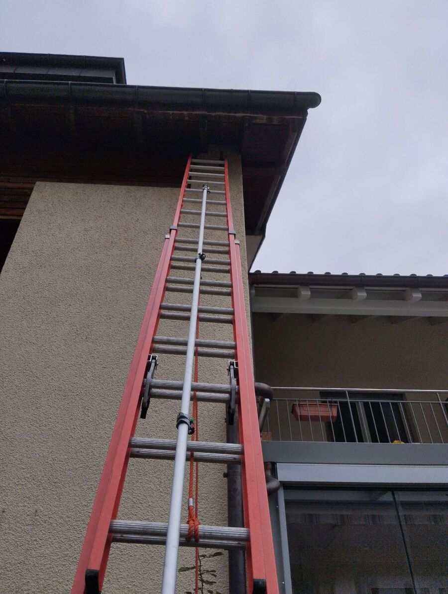 Bee nest at the house remove