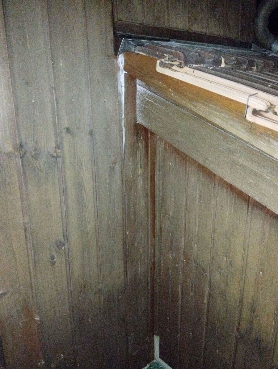 Relocate bees & remove bee nest